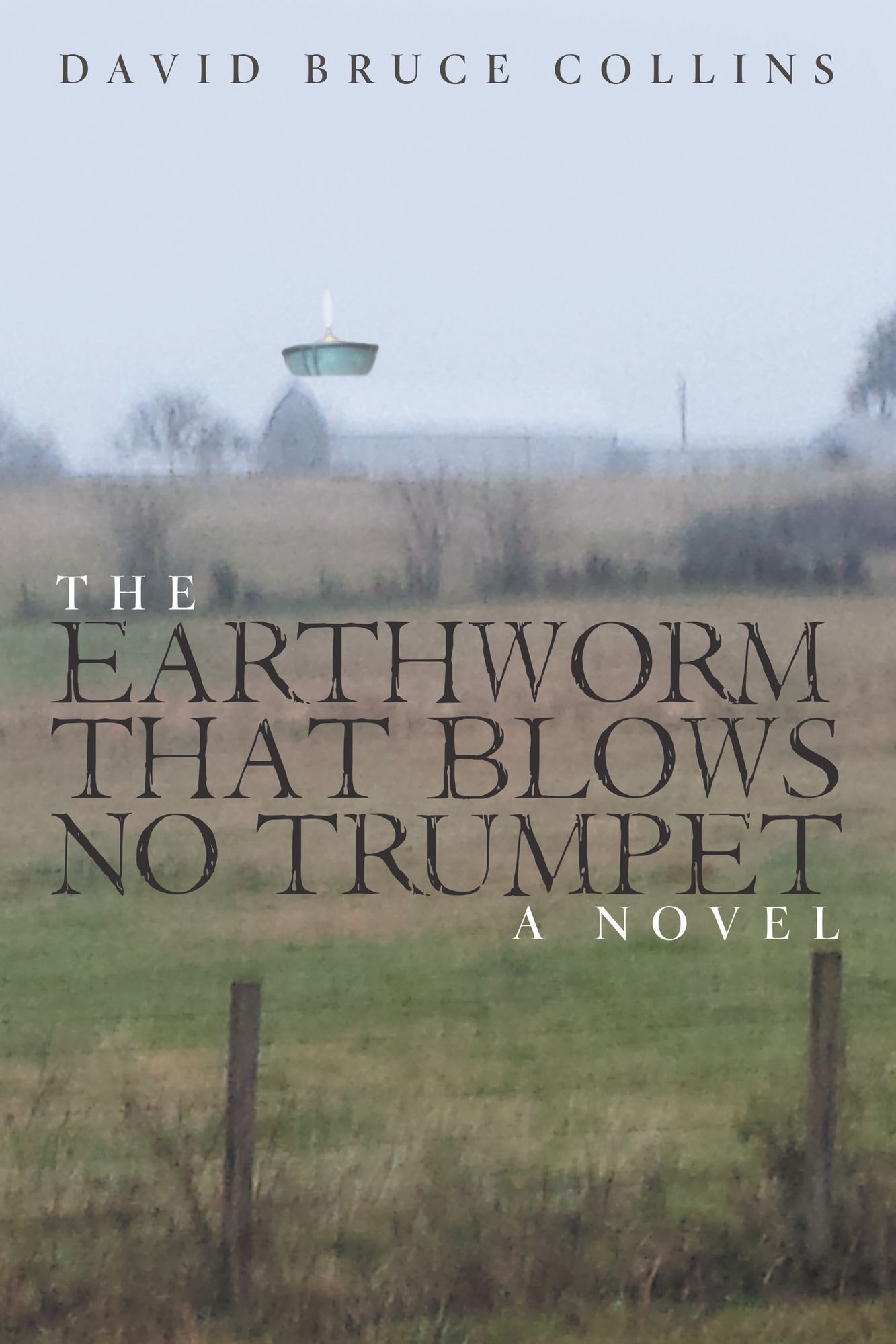 The Earthworm That Blows No Trumpet: A Novel