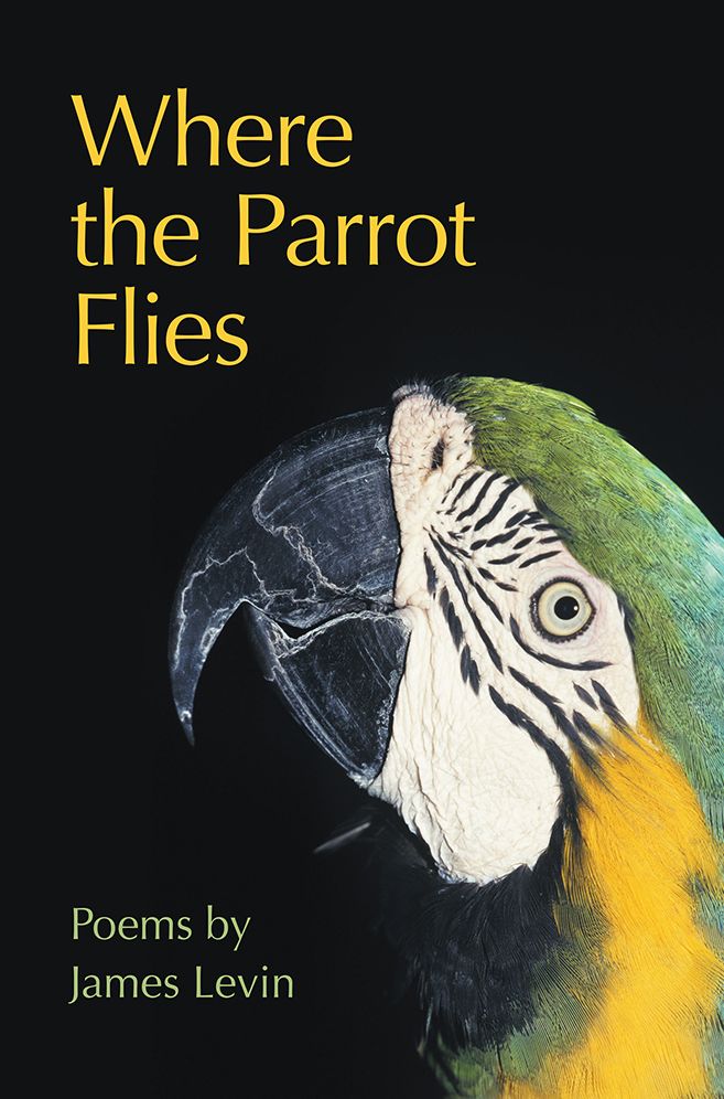 Where the Parrot Flies: Poems