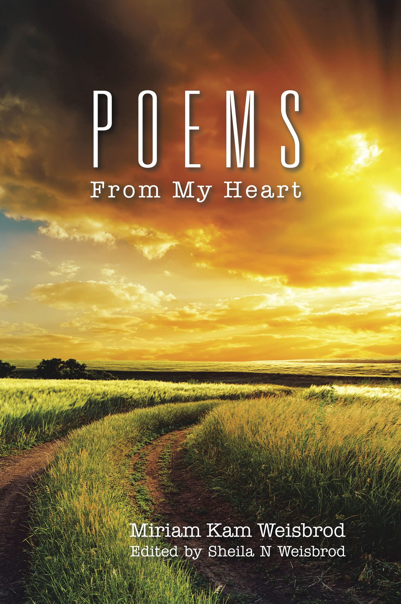 Poems From My Heart