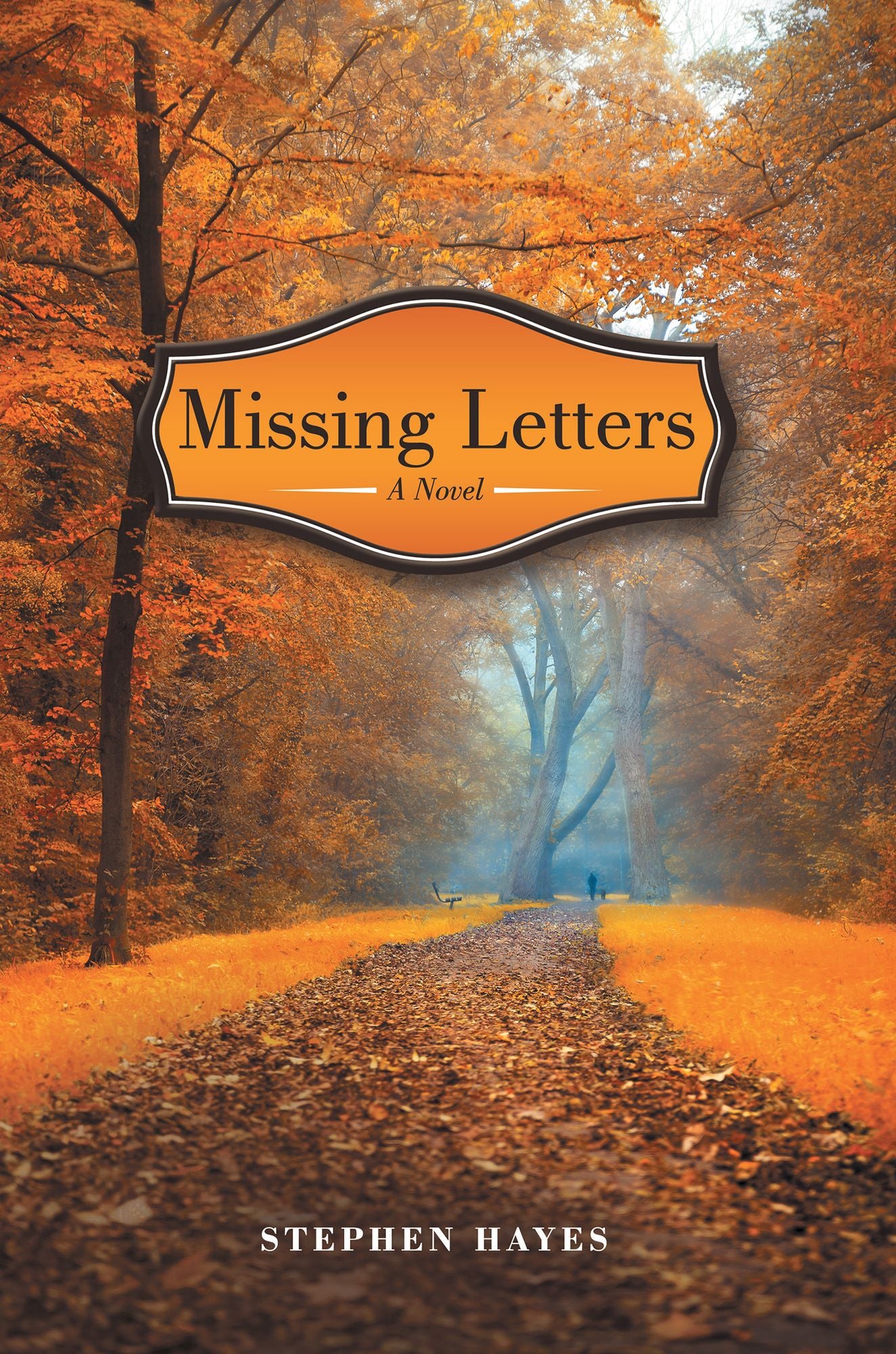 Missing Letters: A Novel