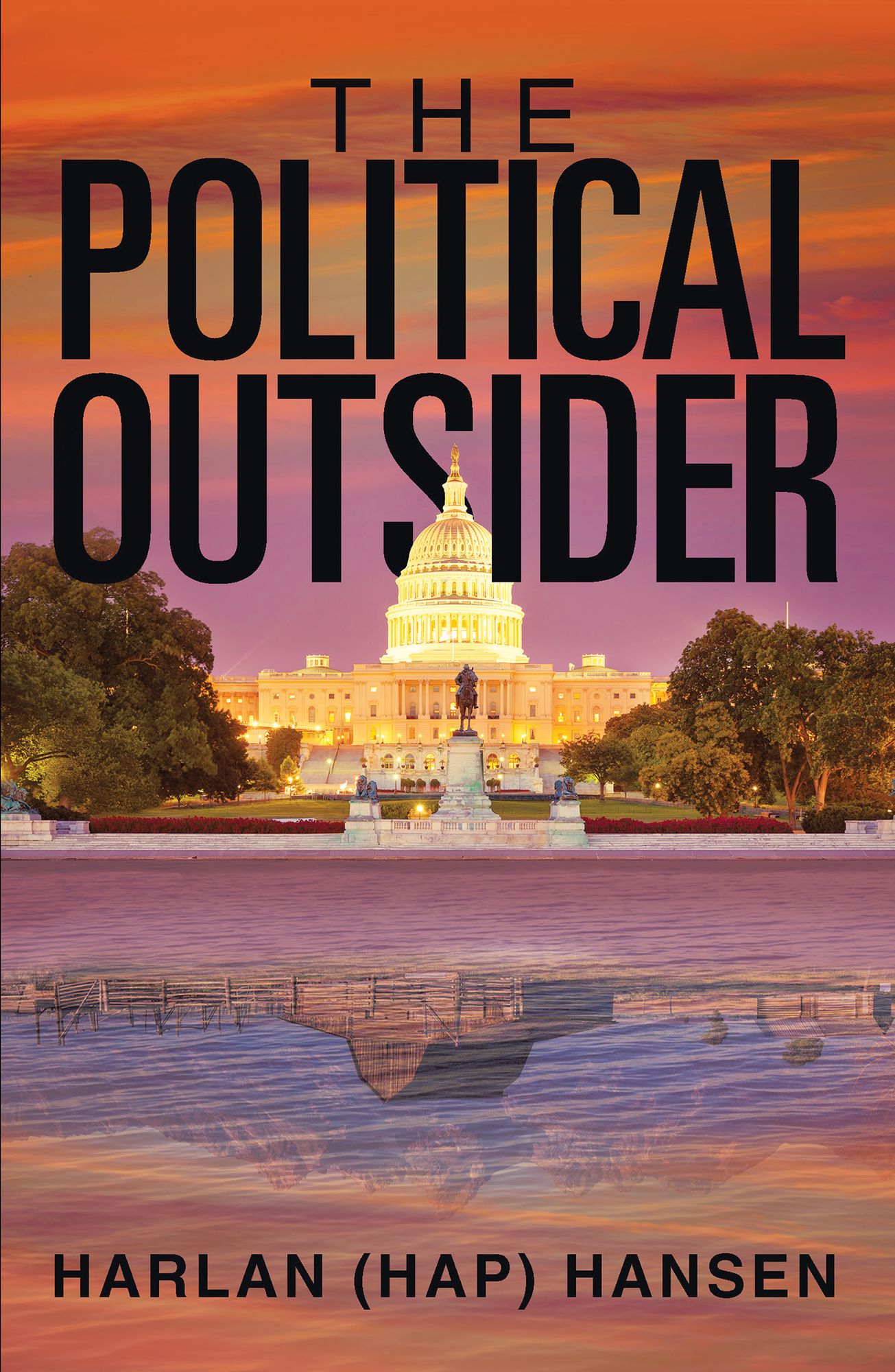 The Political Outsider