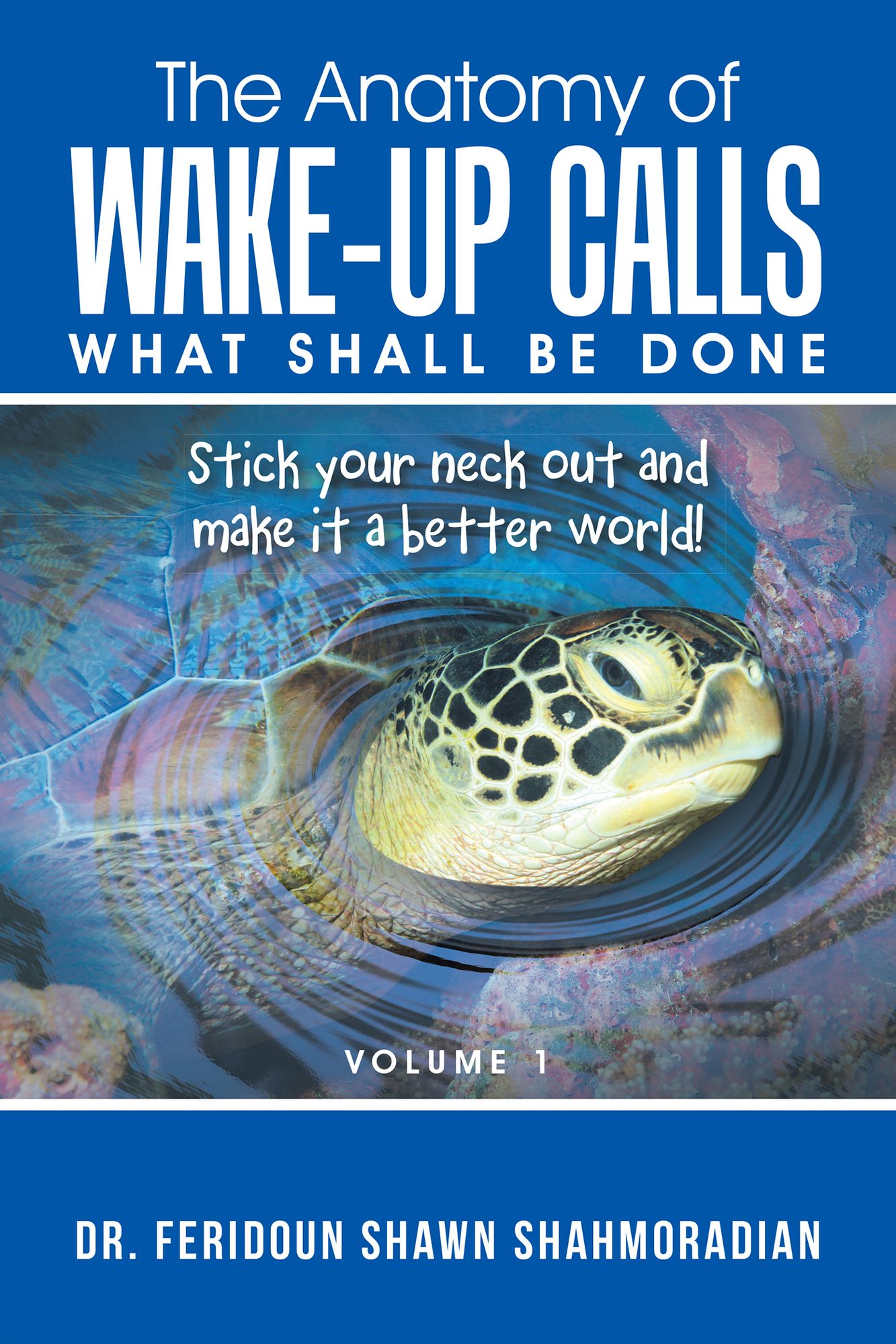 The Anatomy of Wake-up Calls Volume 1: What Shall Be Done
