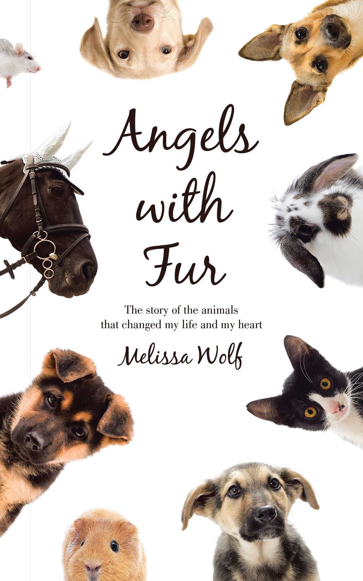 Angels with Fur: The story of the animals that changed my life and my heart
