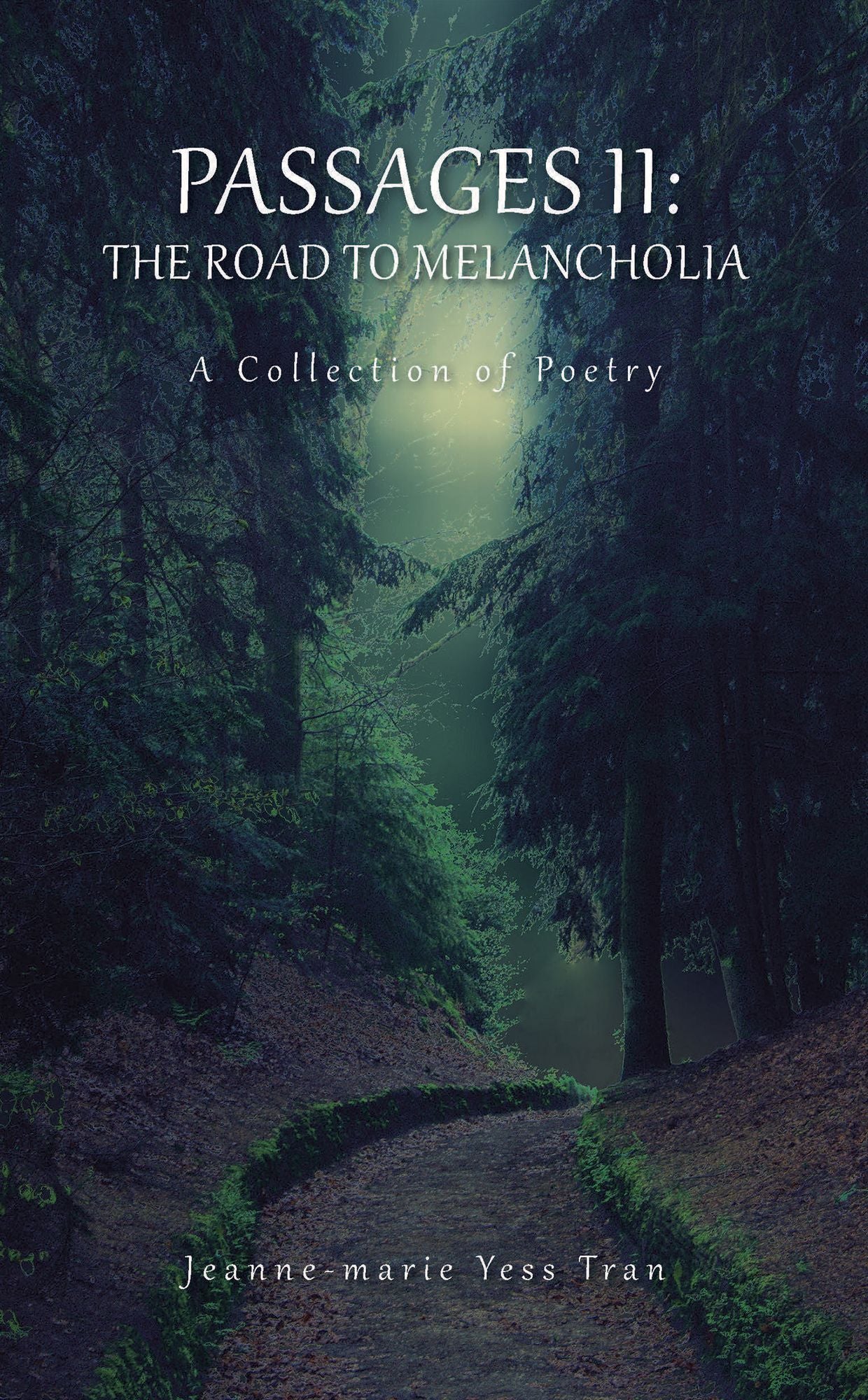 Passages II: the Road to Melancholia: A Collection of Poetry
