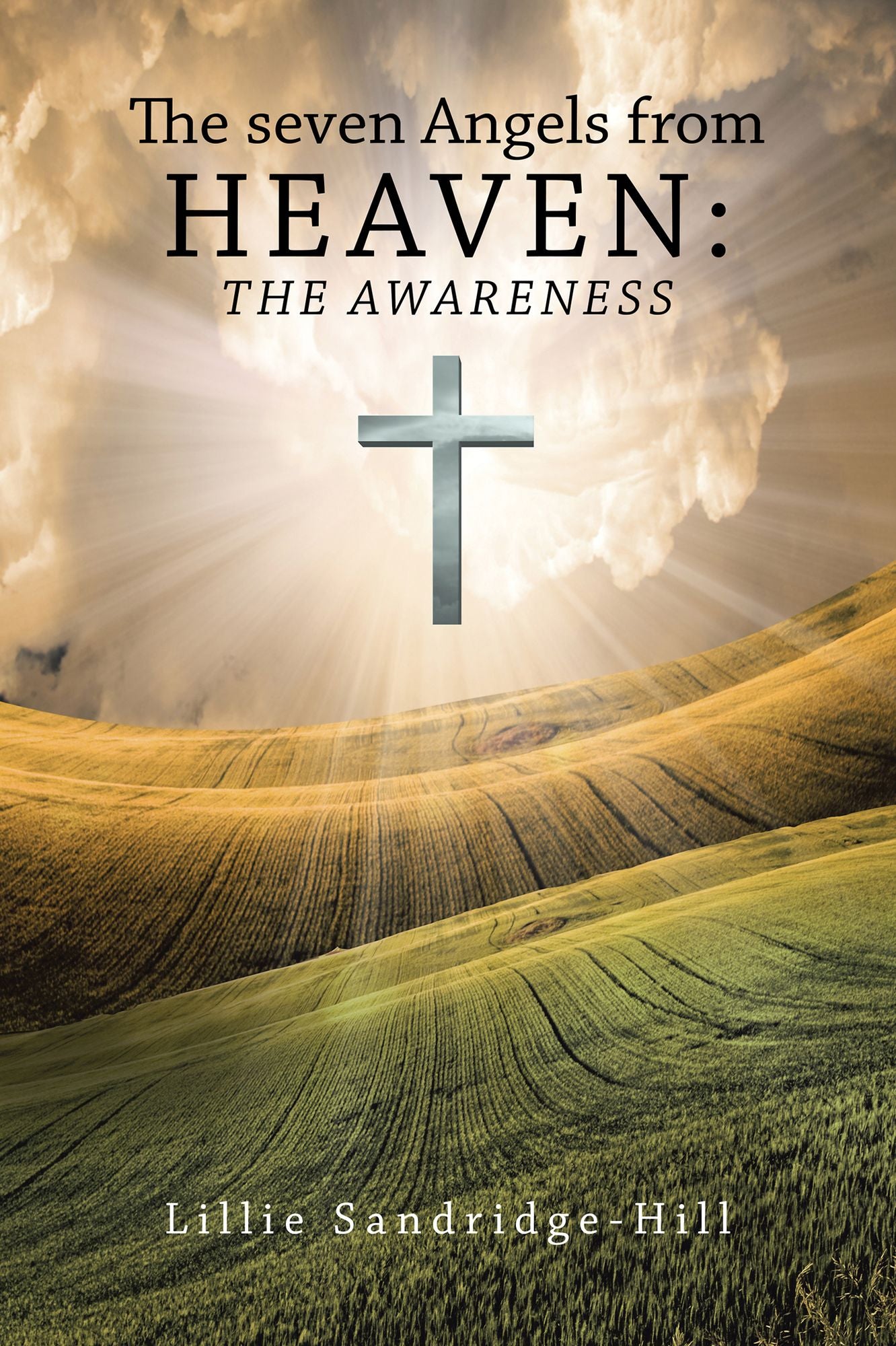 The seven Angels from Heaven: the awareness