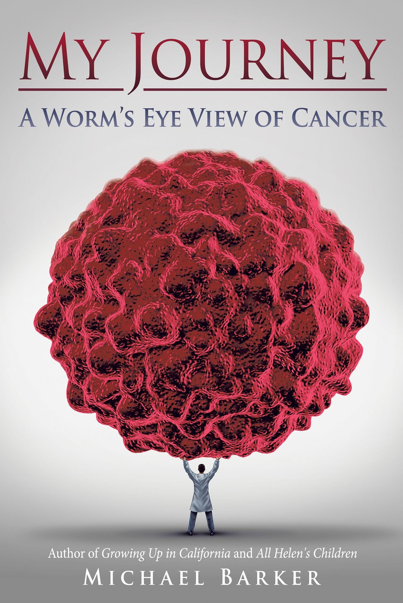 My Journey: a Worms Eye View of Cancer