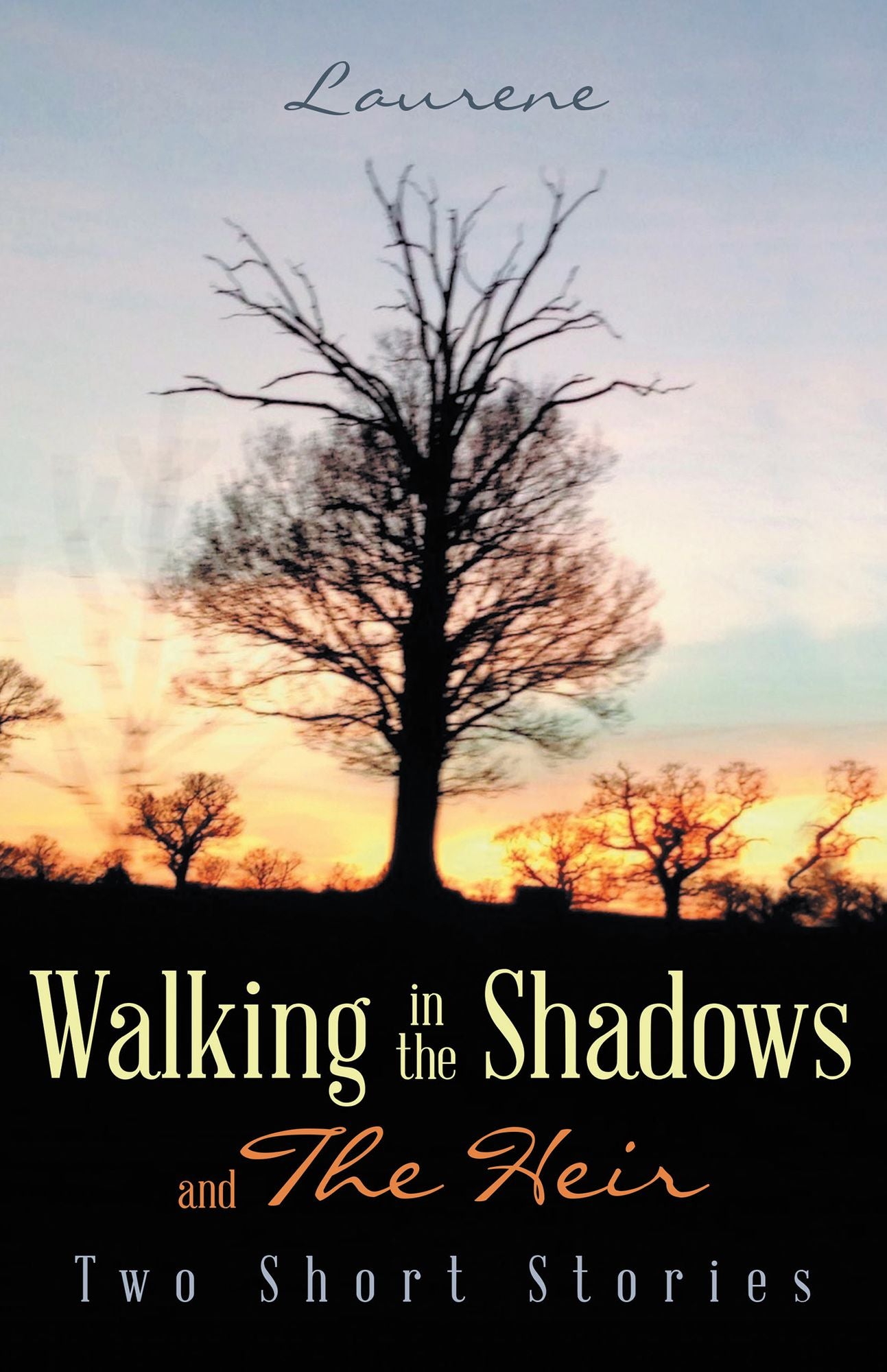 Walking in the Shadows: And the Heir