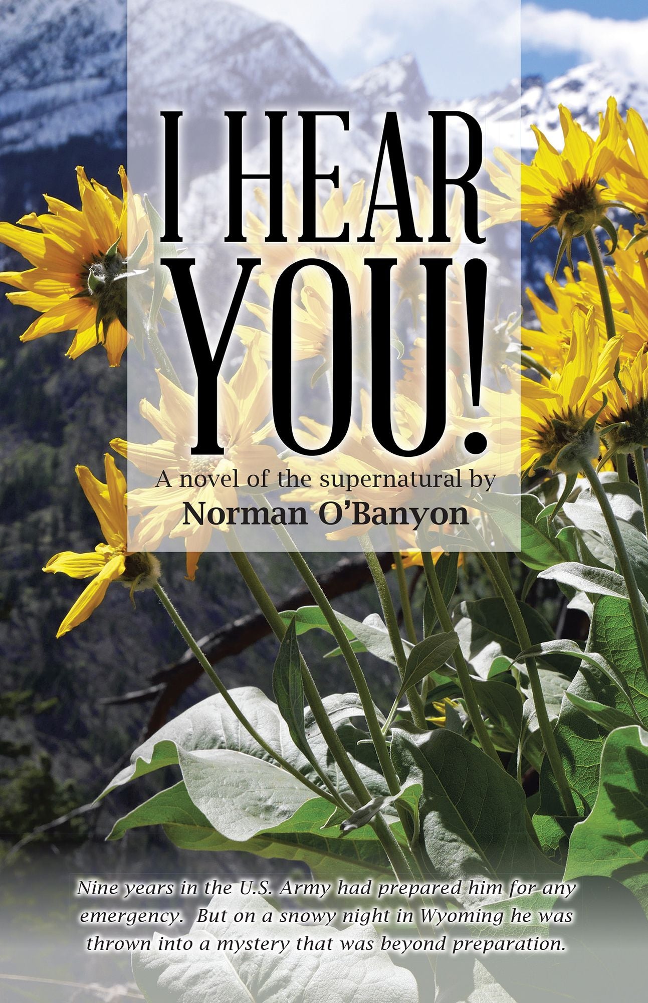 I Hear You!: A Novel of the Supernatural by Norman Obanyon