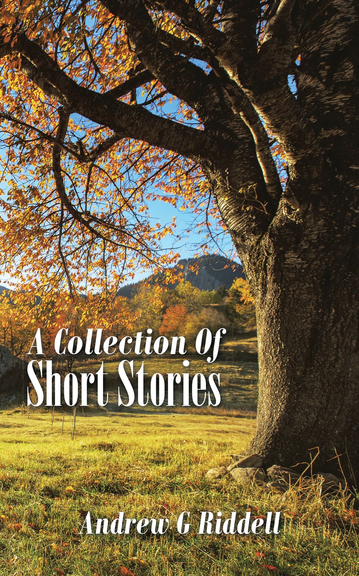 A Collection of Short Stories