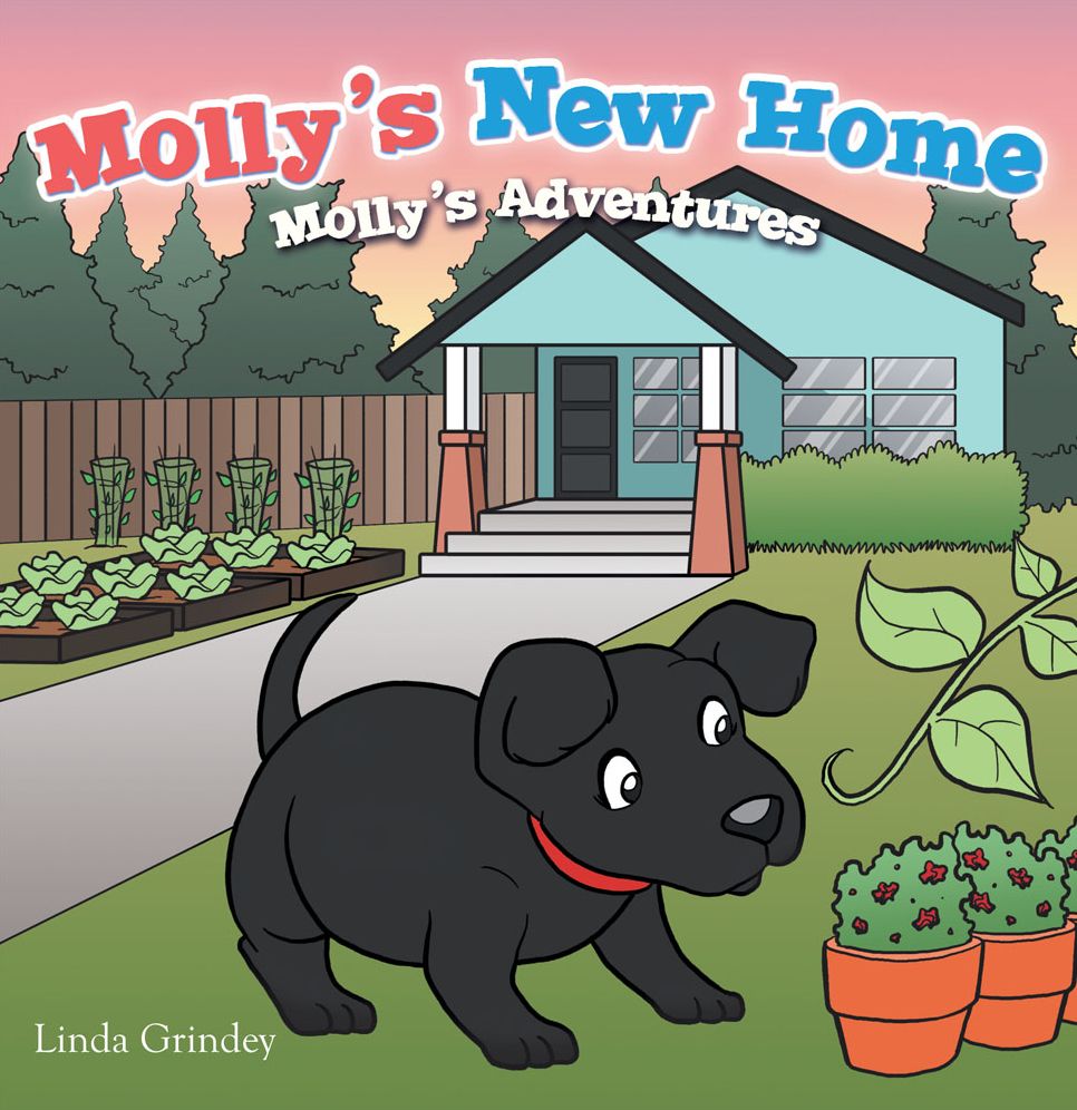 Molly'S New Home: Molly'S Adventures