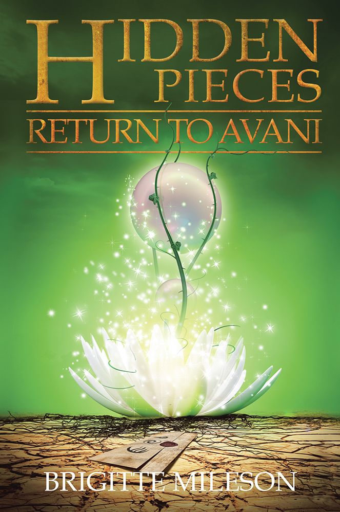 HIDDEN PIECES: RETURN TO AVANI