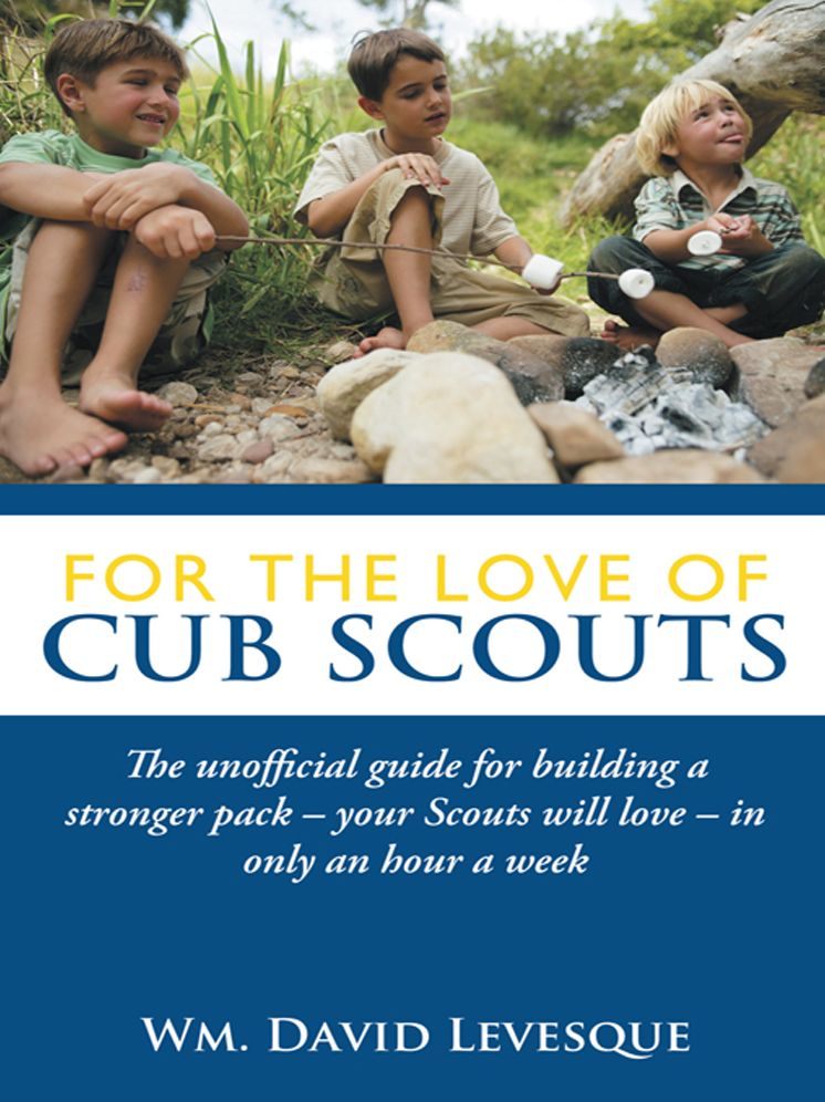 For the Love of Cub Scouts: The unofficial guide for building a stronger pack - your Scouts will love - in only an hour a week