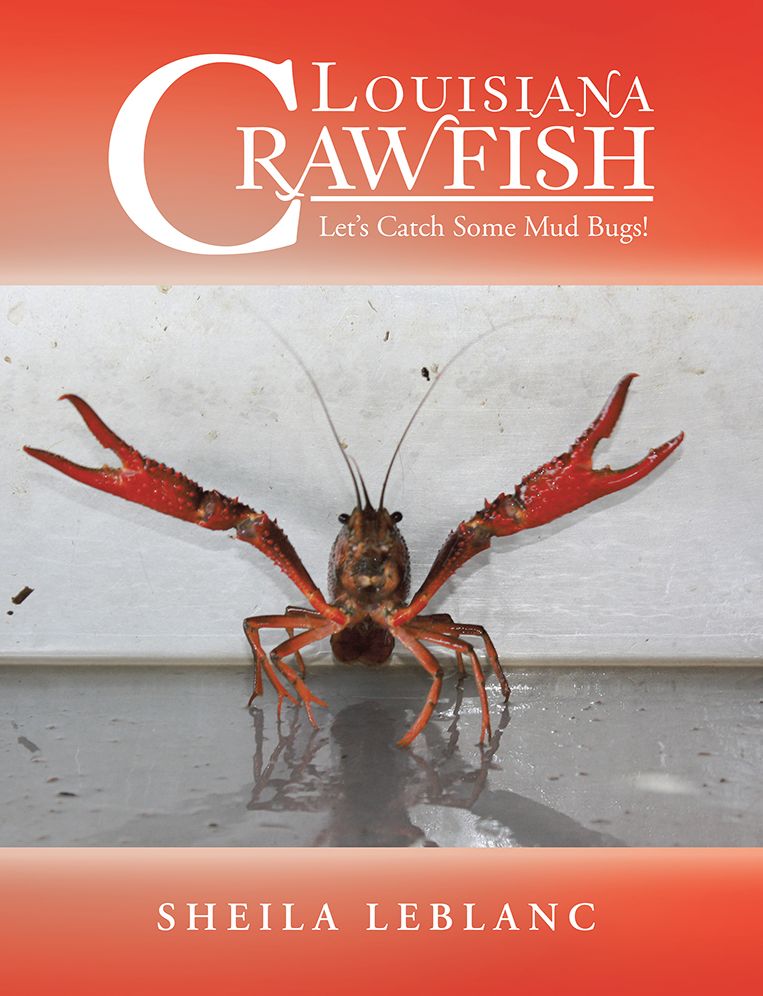 Louisiana Crawfish: Let's Catch Some Mud Bugs! (PagePerfect NOOK Book)