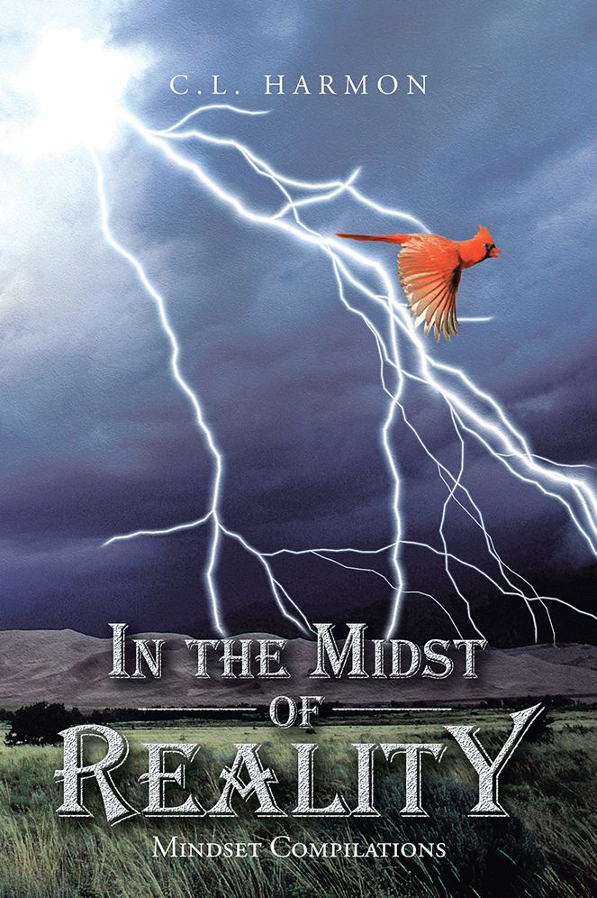 In the Midst of Reality: Mindset Compilations