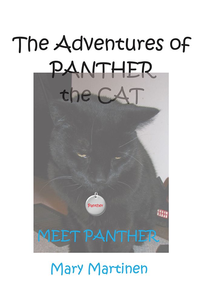 The Adventures of Panther the Cat: Meet Panther