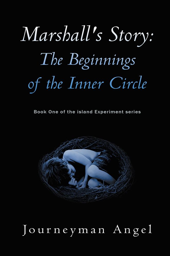 Marshall's Story: The Beginnings of the Inner Circle: Book One of the island Experiment series