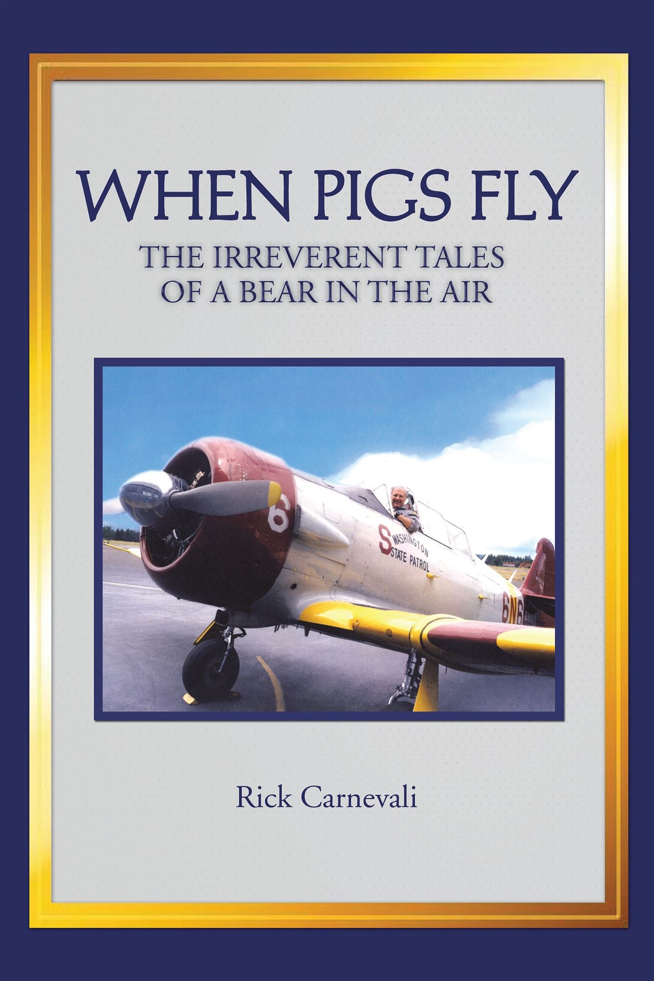 WHEN PIGS FLY: THE IRREVERENT TALES OF A BEAR IN THE AIR