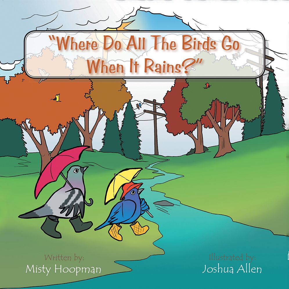 Where Do All the Birds Go When It Rains?