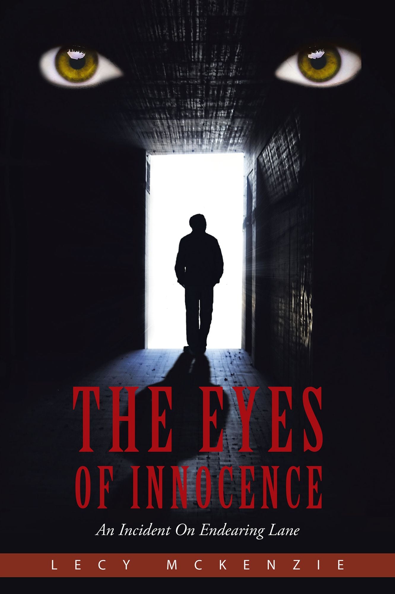 The Eyes of Innocence: An Incident On Endearing Lane
