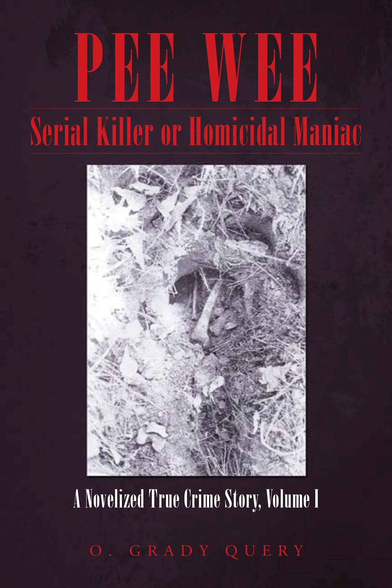 PEE WEE Serial Killer or Homicidal Maniac: A Novelized True Crime Story, Volume I
