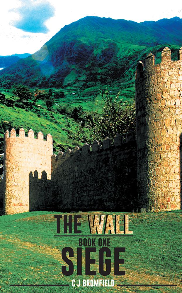 The Wall: Book One - Siege