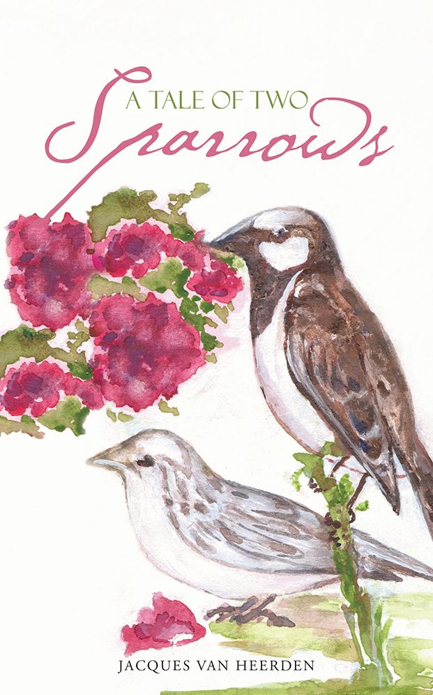 A TALE OF TWO SPARROWS