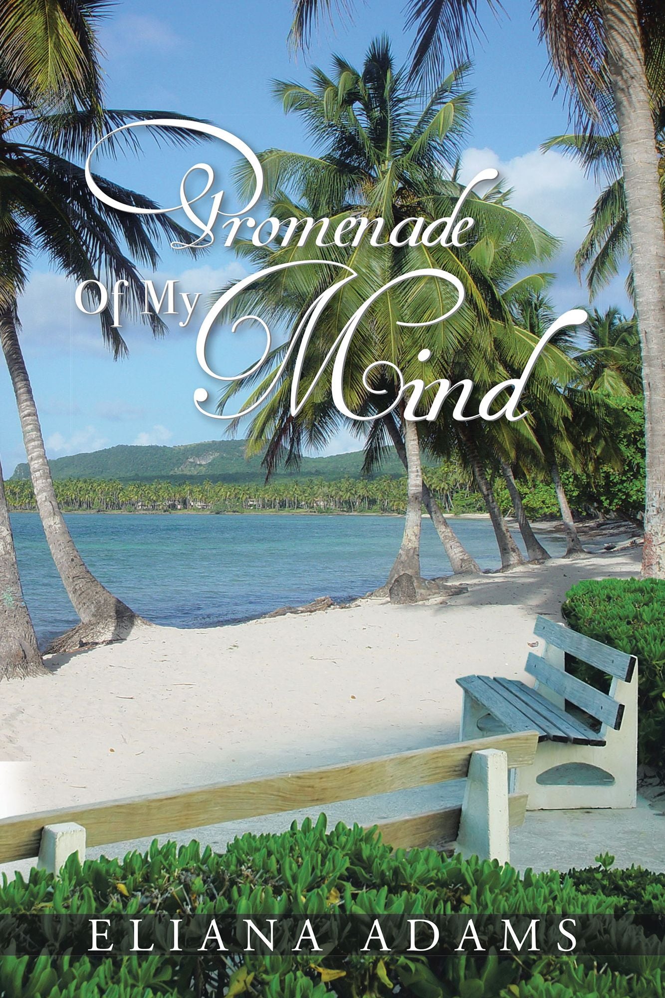 Promenade Of My Mind