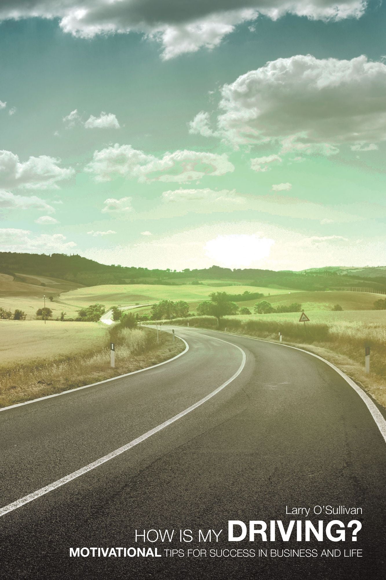 HOW IS MY DRIVING?: Motivational tips for success in Business and Life