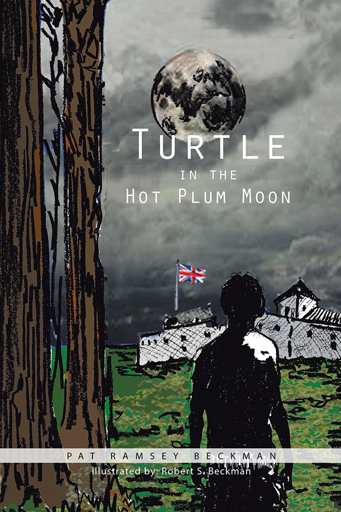 Turtle in the Hot Plum Moon