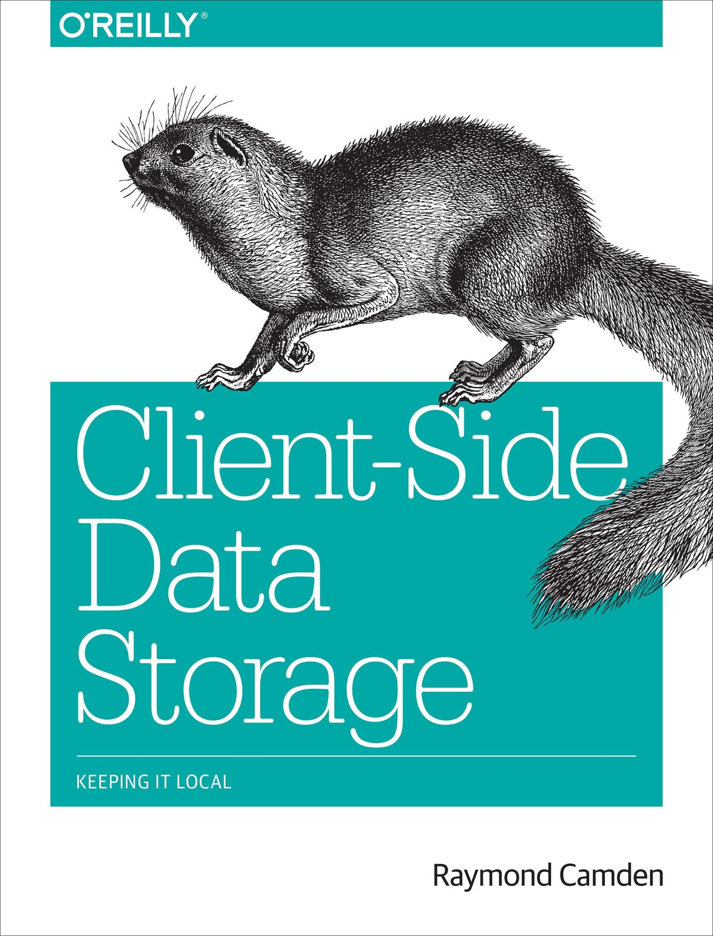Client-Side Data Storage: Keeping It Local