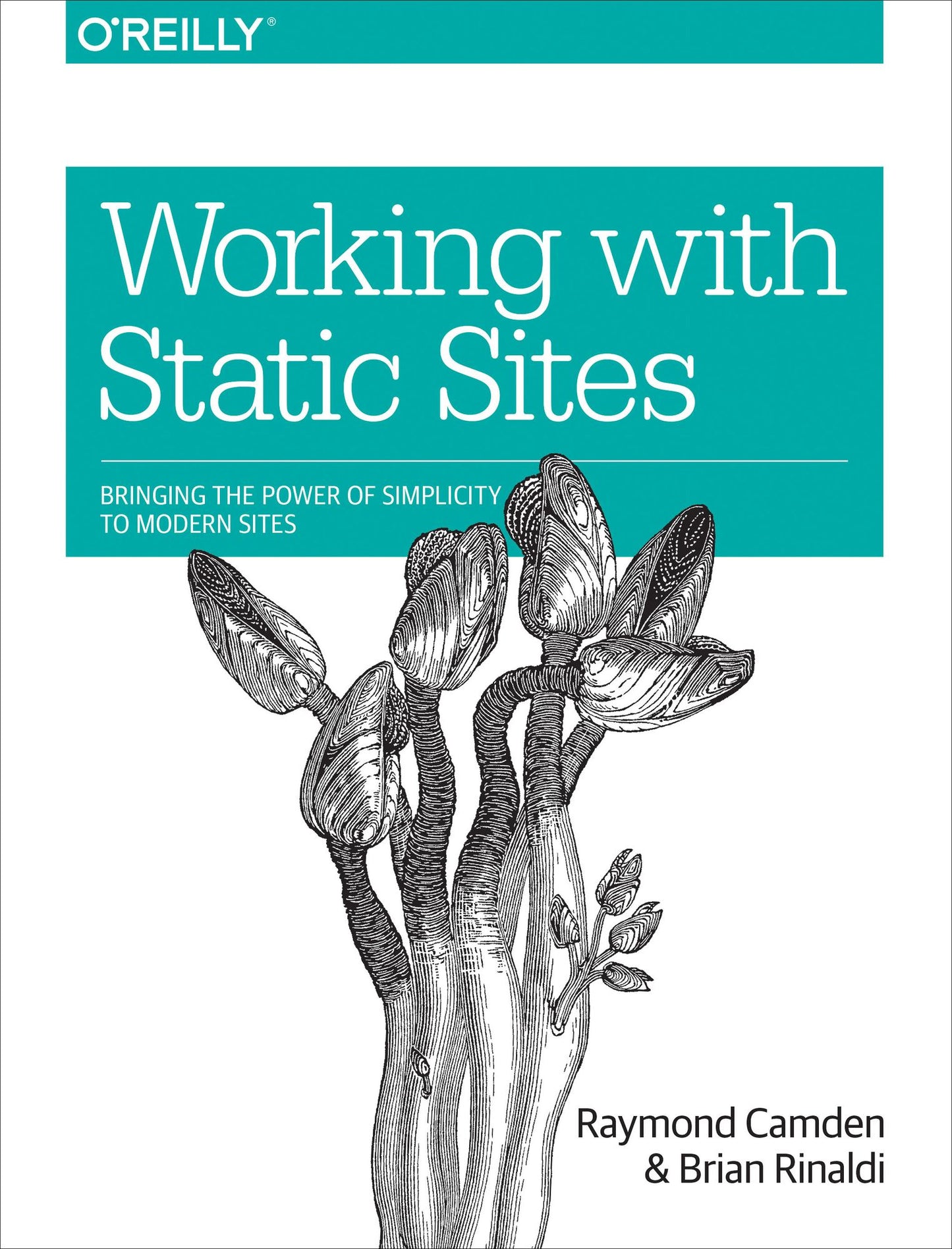 Working with Static Sites: Bringing the Power of Simplicity to Modern Sites
