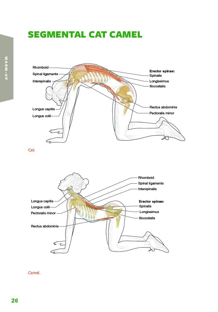 Golf Anatomy 2nd Edition
