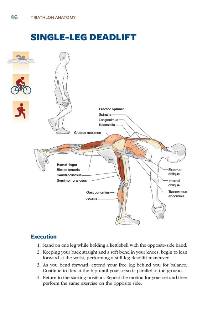 Triathlon Anatomy