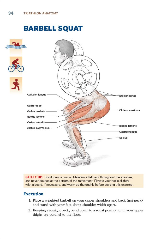 Triathlon Anatomy
