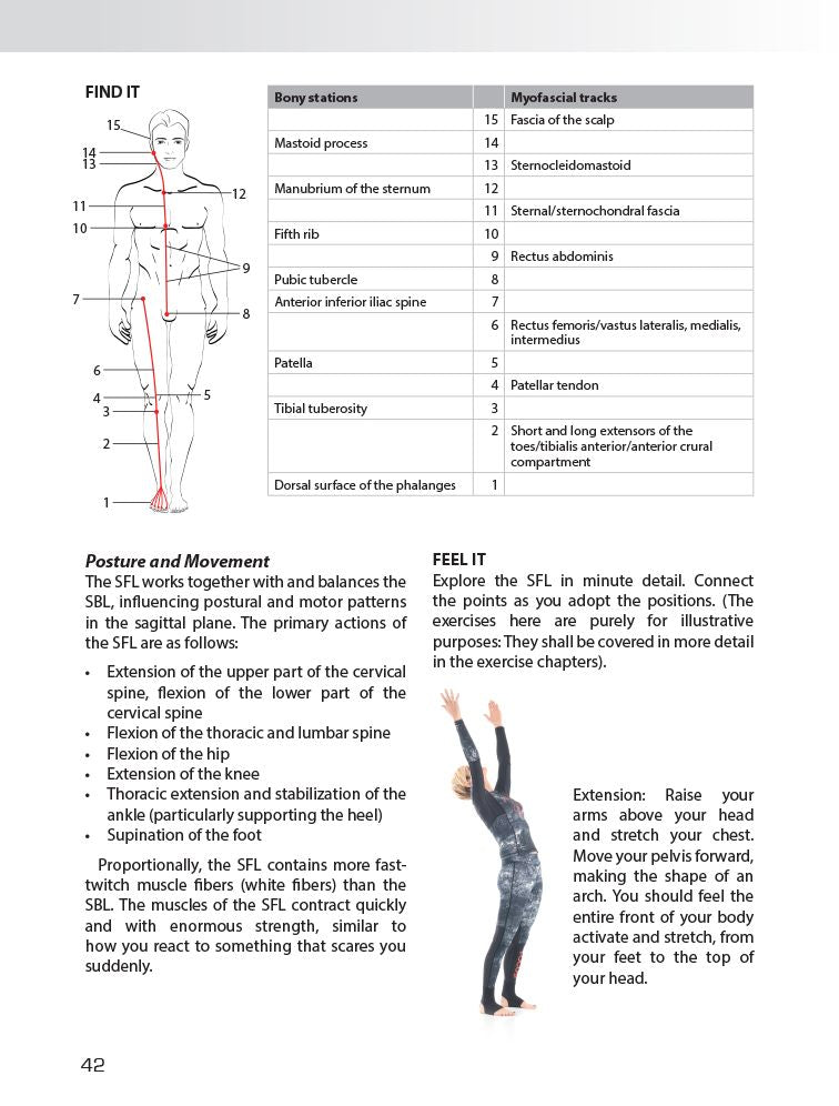 Myofascial Training: Intelligent Movement for Mobility, Performance, and Recovery