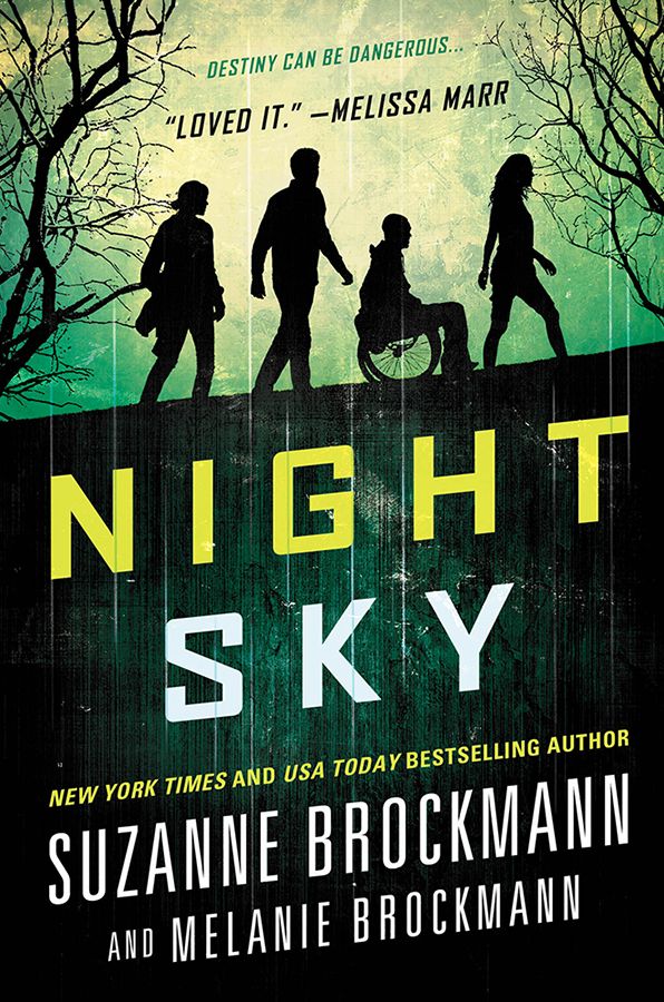 Night Sky (Night Sky Series #1)