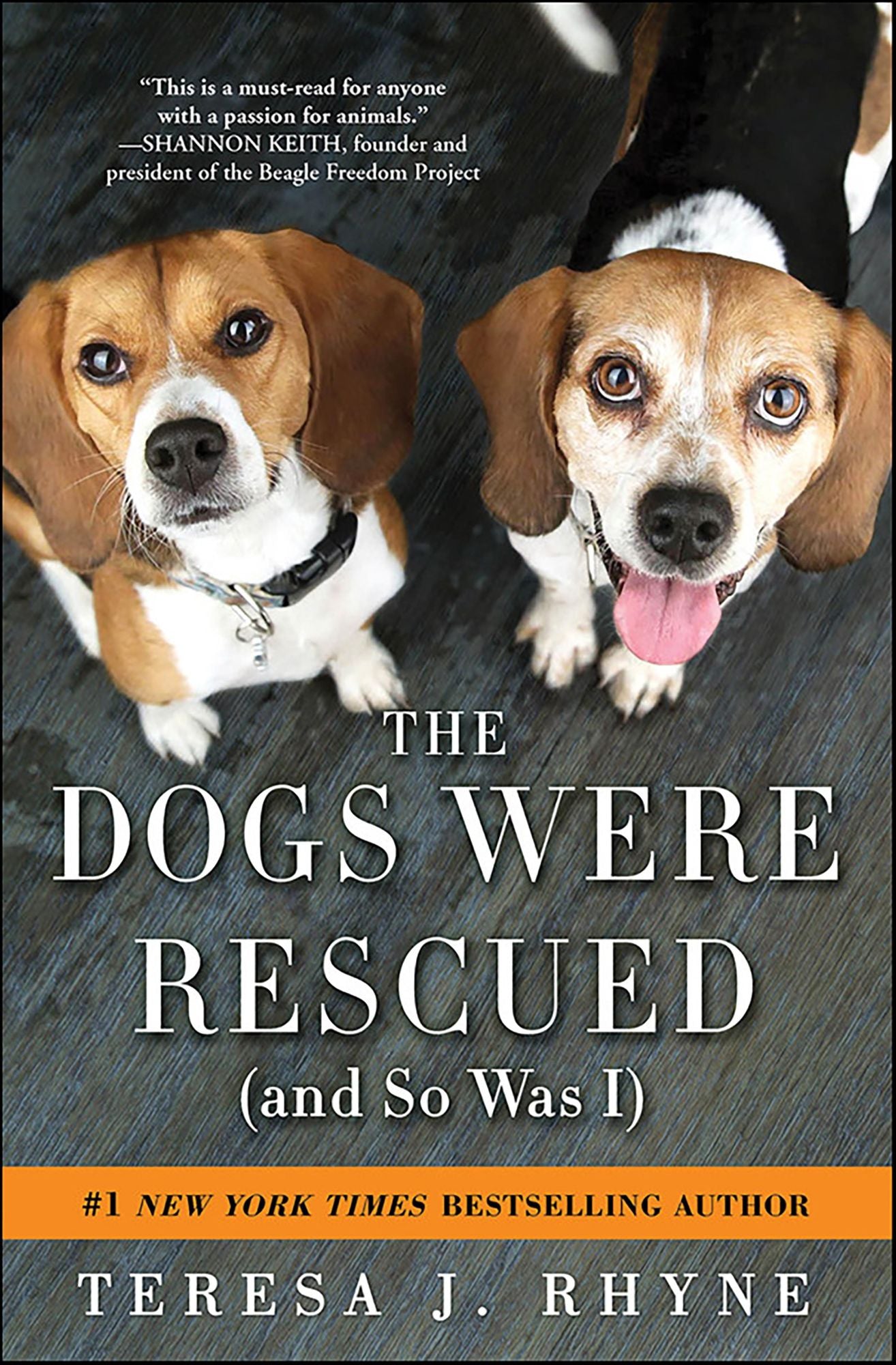 The Dogs Were Rescued (And So Was I)