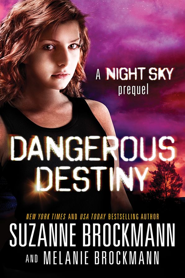 Dangerous Destiny (Night Sky Series Novella)