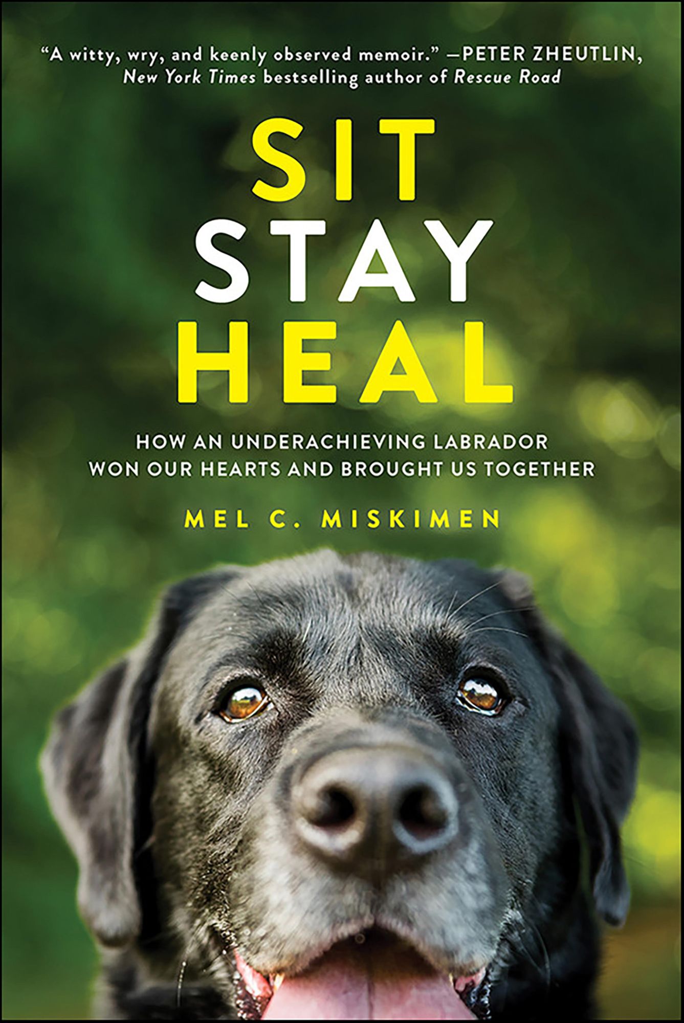 Sit Stay Heal: How an Underachieving Labrador Won Our Hearts and Brought Us Together