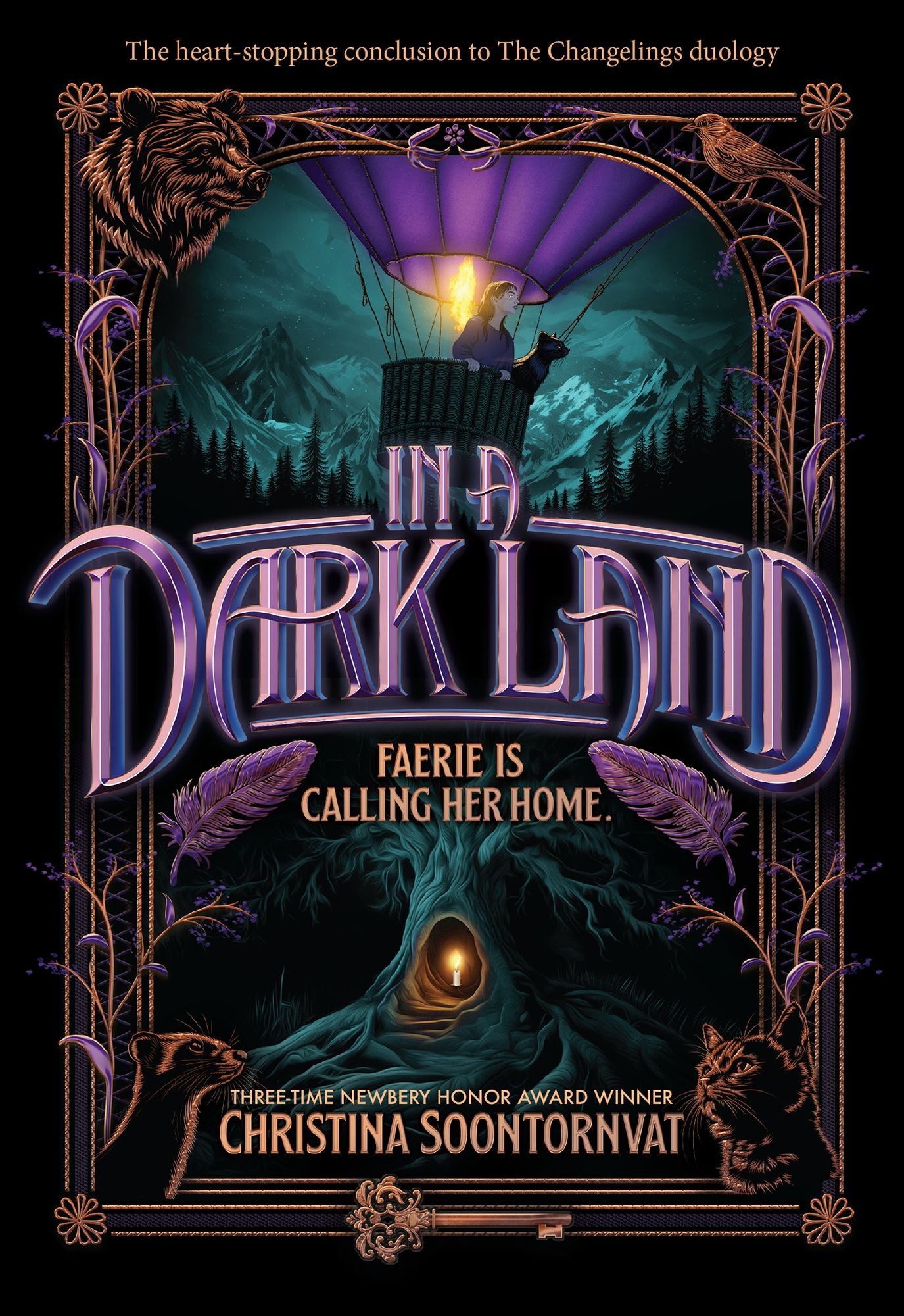 In a Dark Land (Changelings #2)