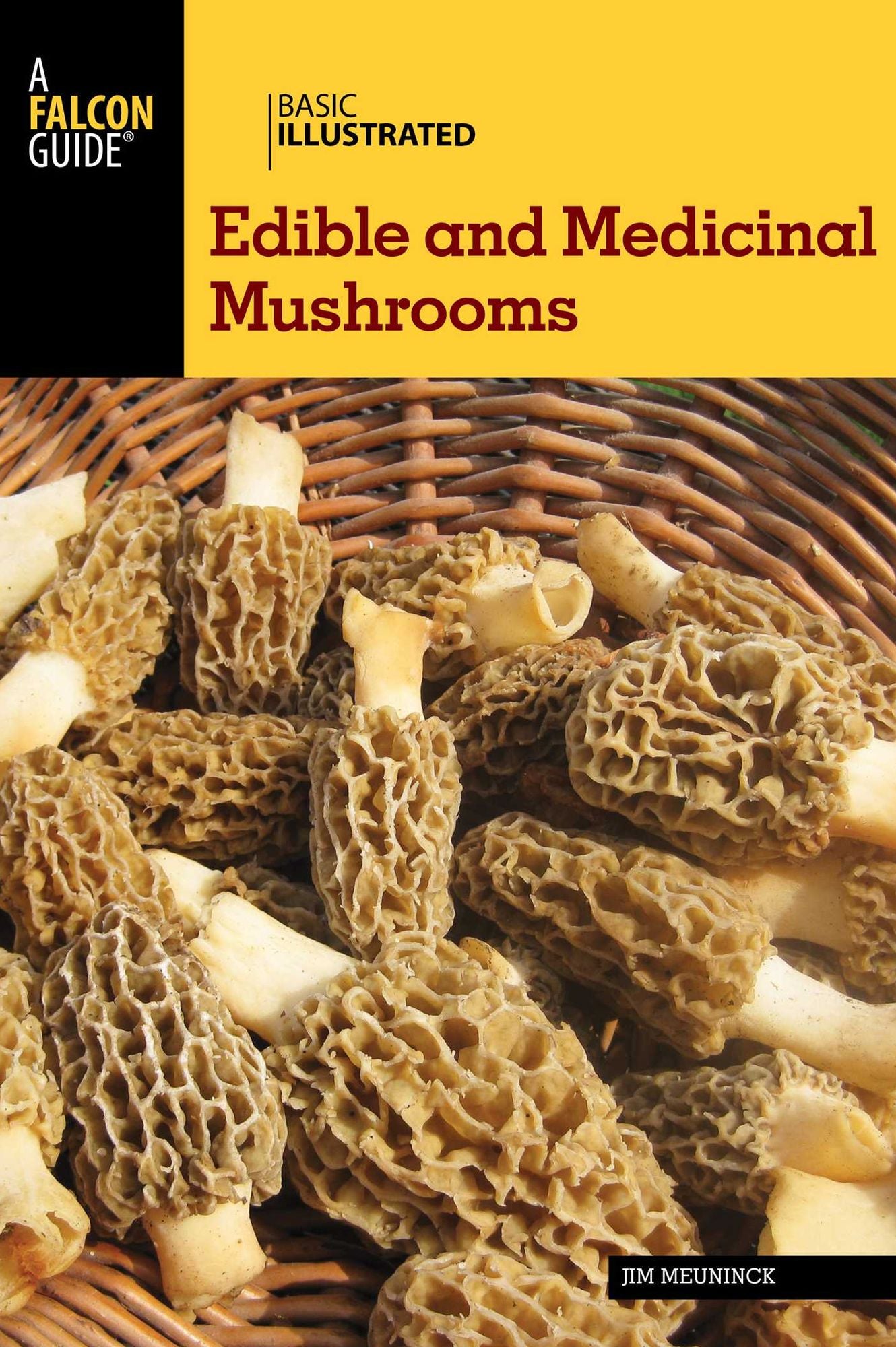 Basic Illustrated Edible and Medicinal Mushrooms
