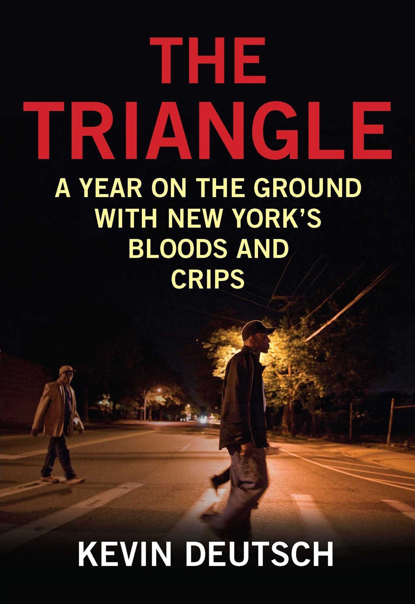 The Triangle: A Year on the Ground with New York's Bloods and Crips