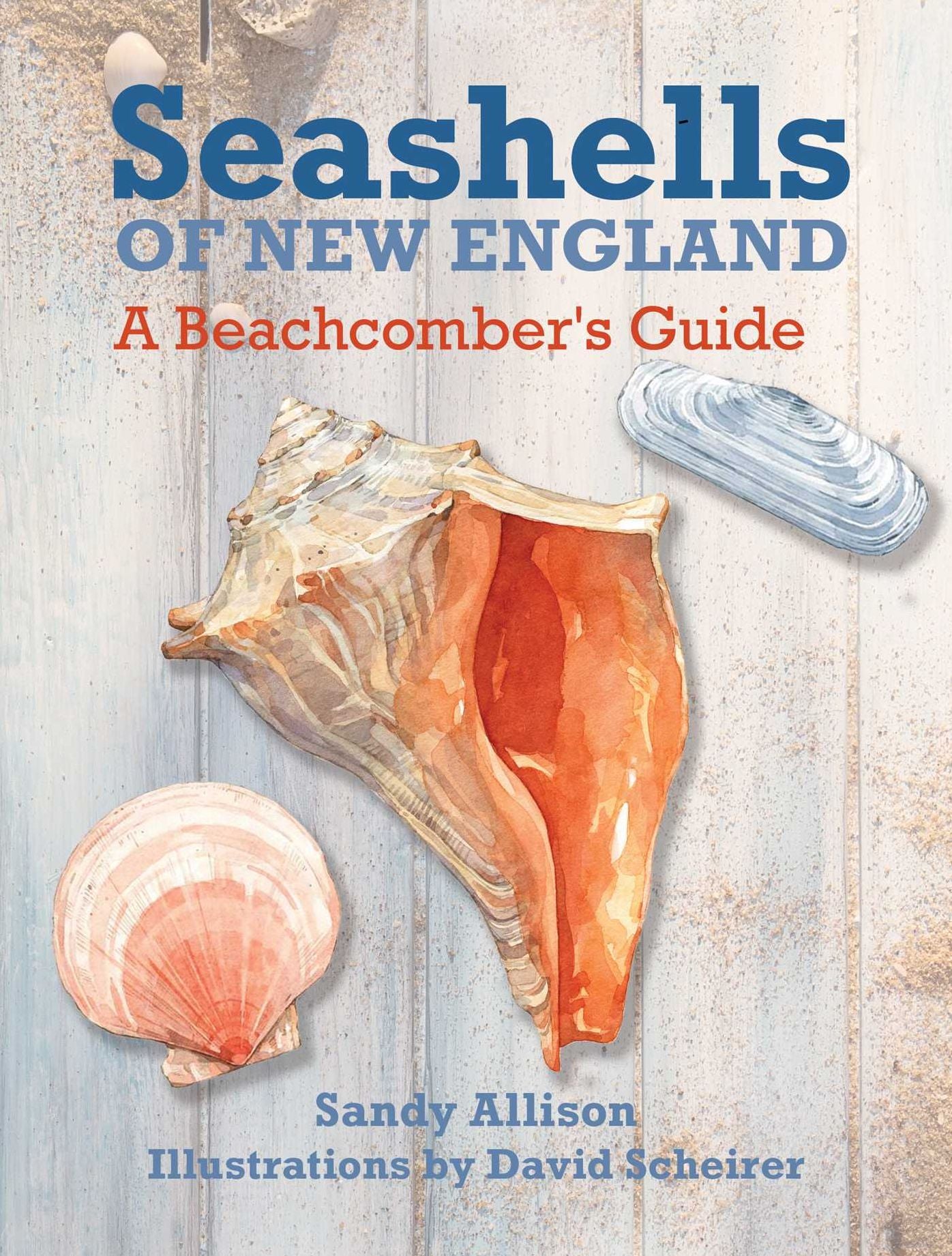 Seashells of New England: A Beachcomber's Guide