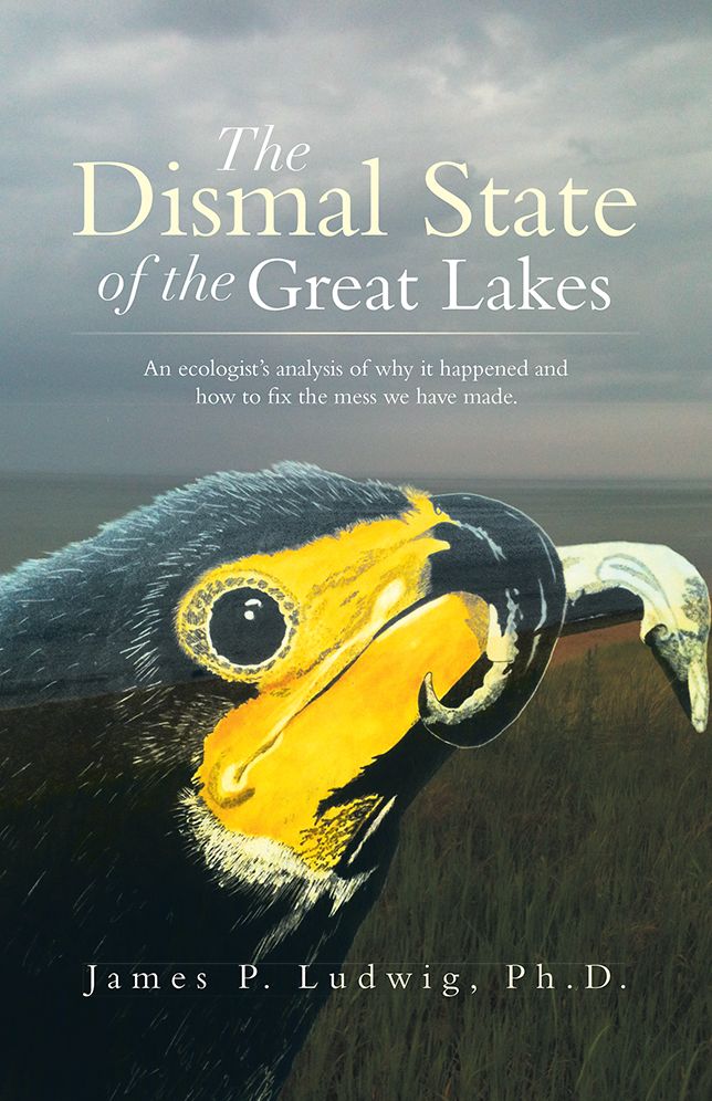 The Dismal State of the Great Lakes: An ecologist's analysis of why it happened,and how to fix the mess we have made.