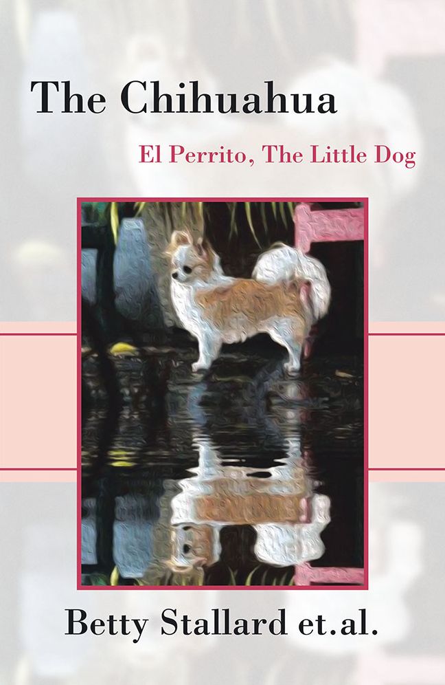 The Chihuahua: El Perrito The Little Dog