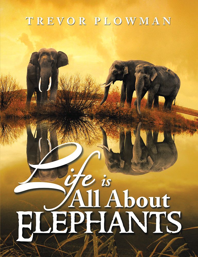 Life is All About Elephants