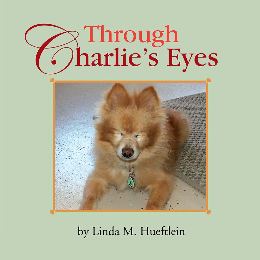 Through Charlie's Eyes