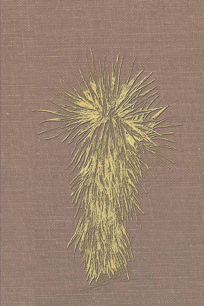 Marfa and Presidio County, Texas: A Social, Economic, and Cultural Study 1937 to 2008 Volume One, 1937-1989