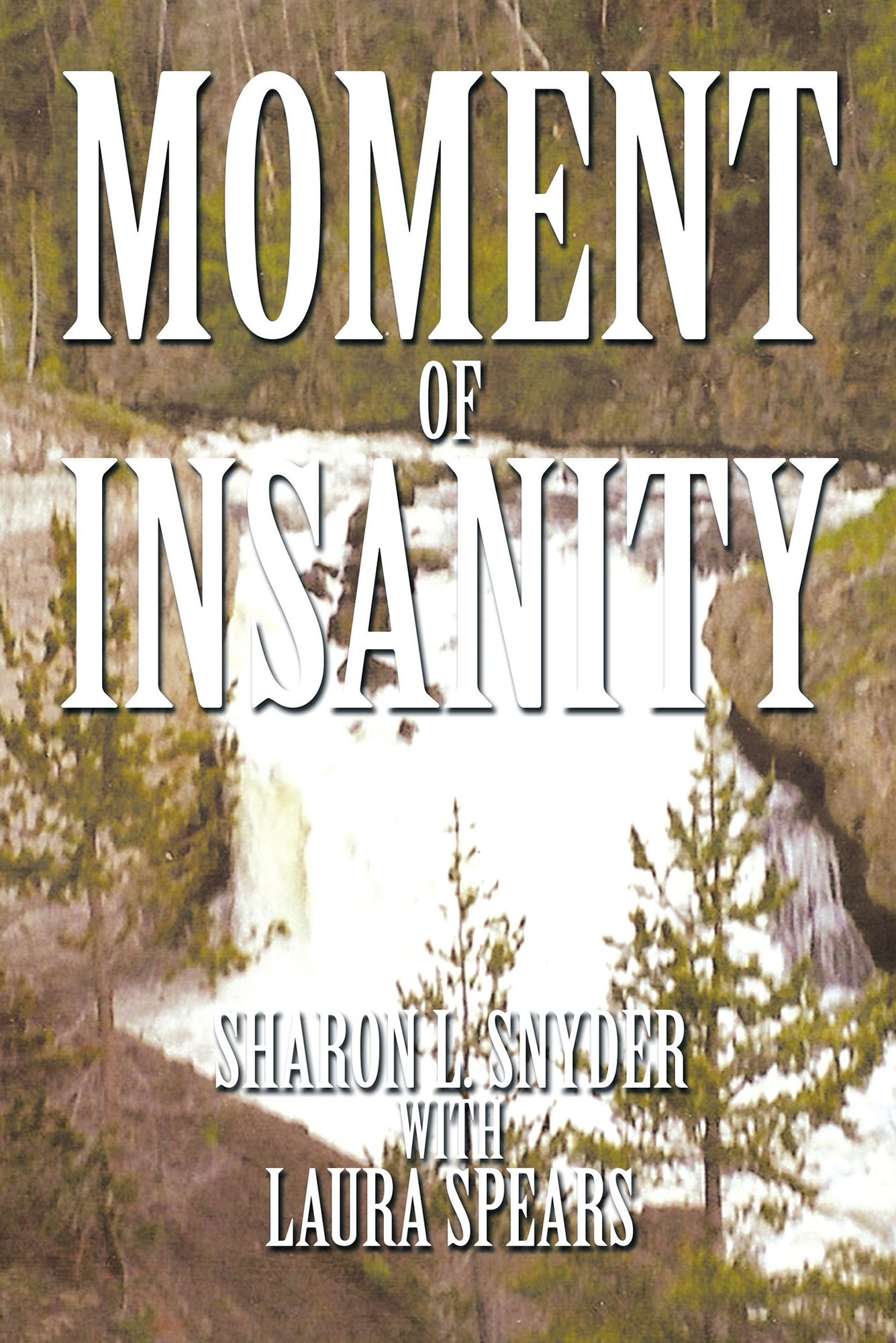 Moment of Insanity
