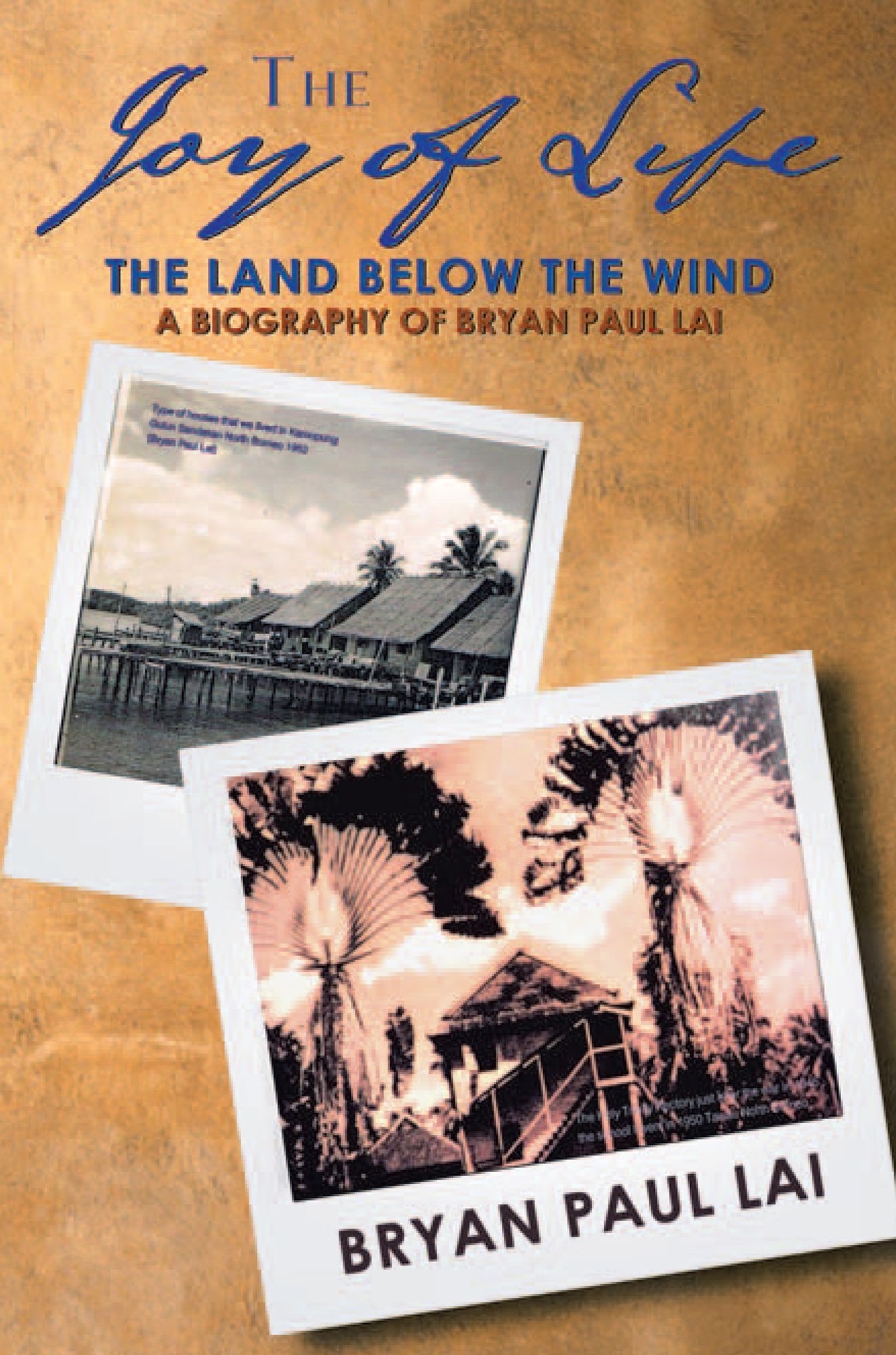 The Joy of Life: The Land Below The Wind